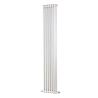 Стальной трубчатый радиатор 2-колончатый IRSAP TESI 21800/08 №26 (RR218000801A426N01)