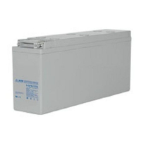 Аккумуляторная батарея Coslight 6-GFM-125X