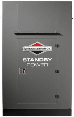 Газовый генератор Briggs & Stratton G800 